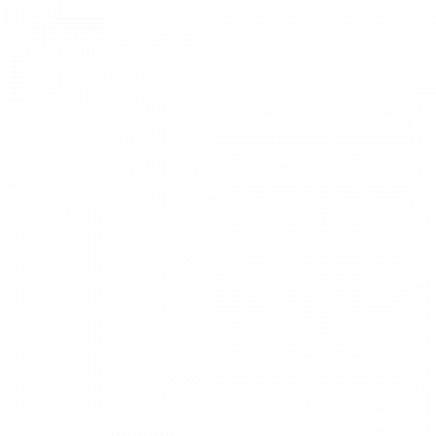 Dr. Manuel Ochoa Tamez